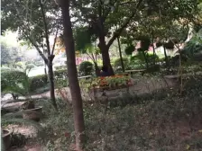 冉家坝 天邻风景三房125万