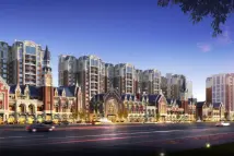 三里花城富豪南街商业