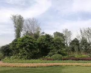 恒大上林苑 3室1厅 南