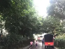 凤天路 大川建博中心一房41万