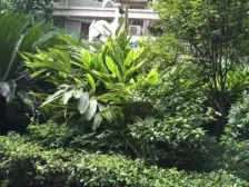 华宇金沙港湾 2室1厅 东北