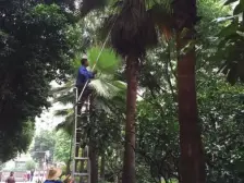 沙滨路大两房视野开阔采光好看房方便