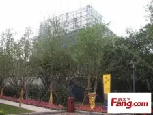 网红南滨路 品质龙湖 精装大4房 维护人 一手消息