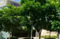 房源图片