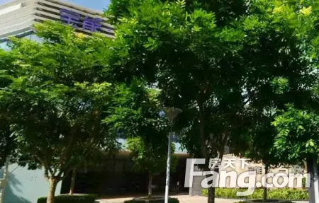 房源图片