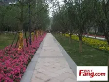 此房是龙湖郦江的清水洋房底跃,前后花园+地下室+车位