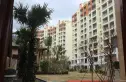 華悦海棠实景图