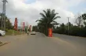 華悦海棠实景图