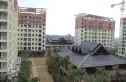 華悦海棠实景图