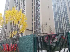 公园旁 湖景房 格局好 采光充足