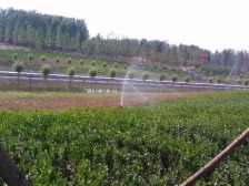 业主急售,满五唯一,全款房过户快