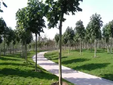 独栋别墅双拼,3个花园,带2个车位,急售