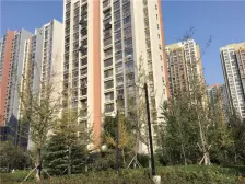 鲁能领秀城中央公园东区 3室2厅 南 北