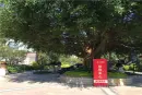 三木诺丁山实景图