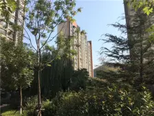 领秀城E区 精装好房 采光视野好 有车位不临街