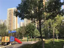 领秀城中央公园 2室1厅 南