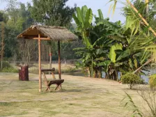 养老房、医疗配套、食堂、社团活动、空气好