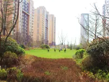 中海国际社区 2室2厅 南 北