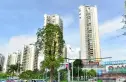 锦绣江南四期实景图