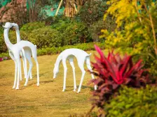 全看江,无遮挡,视野好,使用面积大