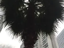 住宅,交通方便,区位好,配套齐全,价格便宜