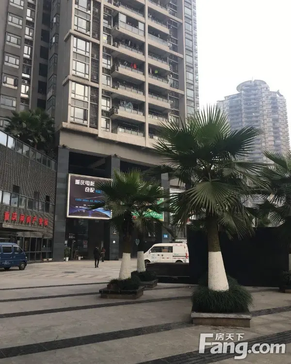 实景图