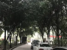 观音桥 聚金花园四房138万