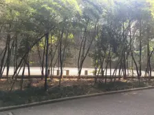 黄泥磅 长安丽都一房40万