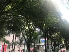 观音桥 飞扬世纪三房95万