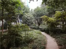 轻轨旁小高层很大很大的两居室安静宜居无不利因素