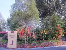 房子精装保养好南向看江景高楼层视野好