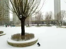 诚意出售 锦尚一期 高楼层采光好 毛坯随意装 随时看房