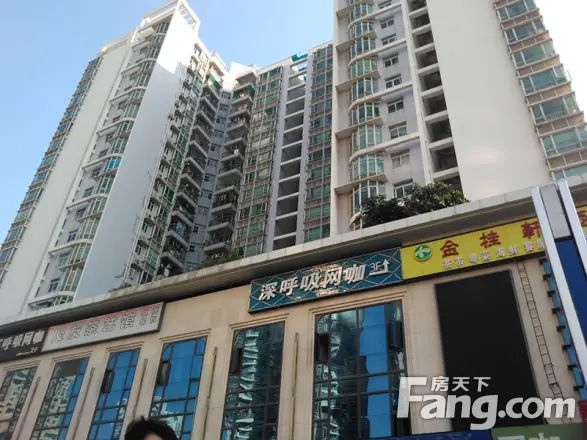 金桃园大厦实景图