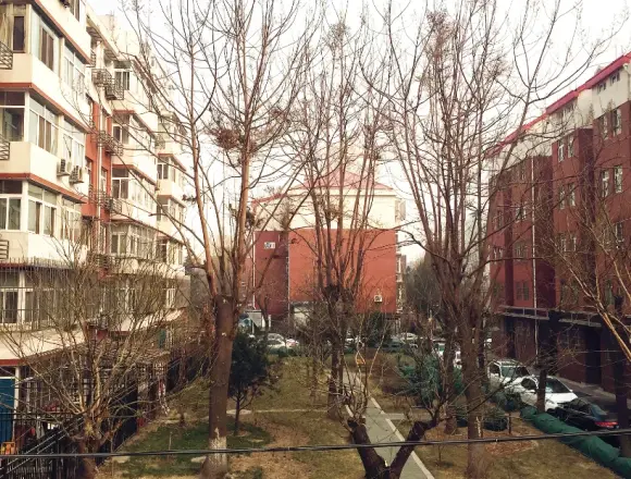柳林馆南里实景图