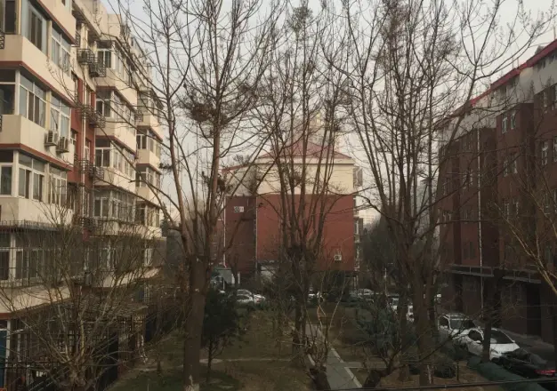 柳林馆南里实景图