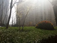 威尼斯水城,双气,独立厨卫,朝南,税费低,诚意出售