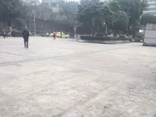 卡萨国际公寓 1室1厅 东 东南 南