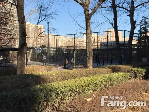 沿海赛洛城实景图