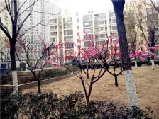 四惠商圈满5年唯一,首套契税1%,高层视野好落地窗