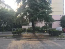 带大露台,同49同户型,精装修,位置好