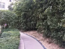 安泰文苑,地铁口 低首付 小户型