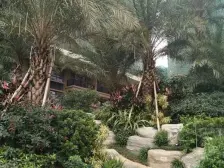 两套单间打通改成的两房 稀有户型 大两房 税费少