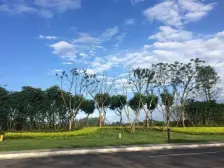 3500亩湿地公园,临湖独栋别墅,双车位带300平大花园