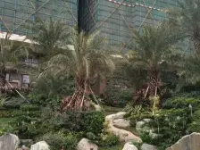 碧桂园大平层 大五房 朝南采光好