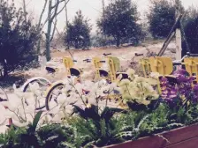 双拼别墅,前花园大概80~100平,后花园40平左右