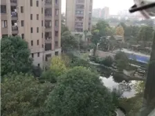 春申景城(三期) 3室2厅3卫 南