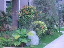 嘉宏锦城 3室1厅 东南