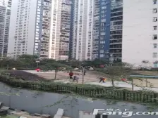 袁家岗精装正规一房,交通方便,生活方便