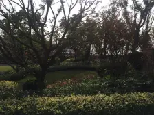 首地江山赋 大三房两卫 住家精装修 朝中庭