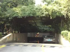 浦**洋水清木华高区世纪公园景观,复式5室3厅3卫诚意出售